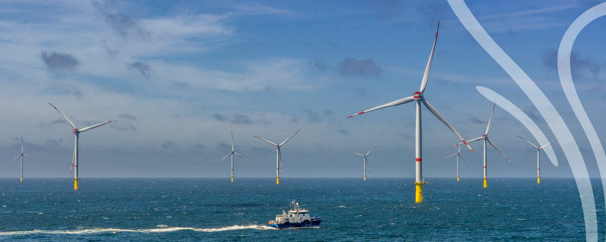 TOP BANNER01 100 TOP BANNER01 100